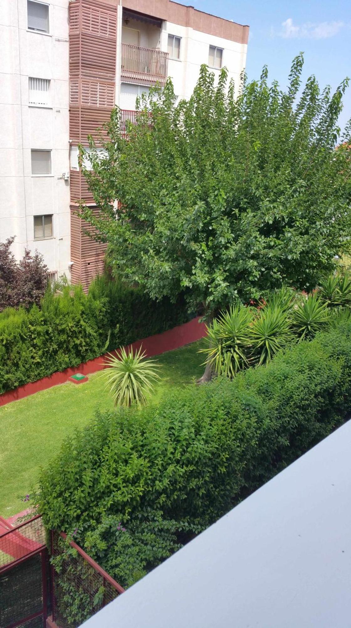 Sauces Parking Gratis Climatizado Apartment Jaen Exterior photo